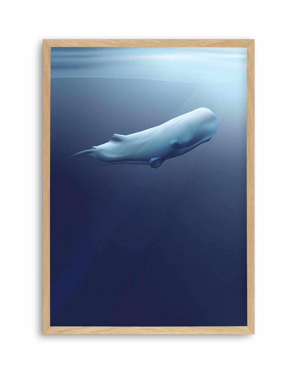 Sperm Whale | Graphic Whales Collection Art Print