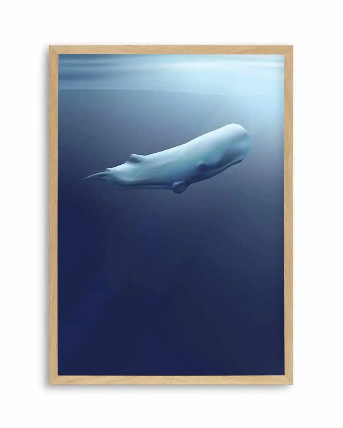 Sperm Whale | Graphic Whales Collection Art Print from Olive et Oriel where you can shop wallpaper and artworks online