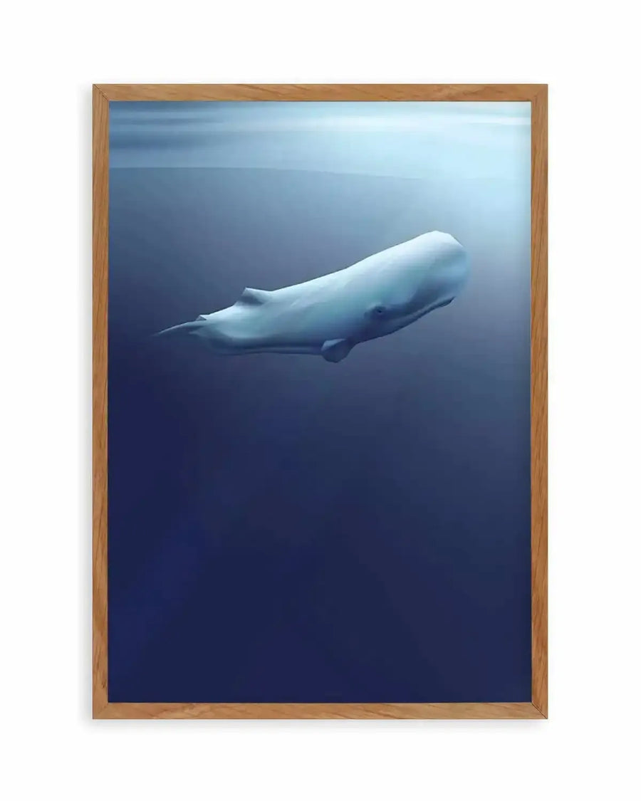 Sperm Whale | Graphic Whales Collection Art Print blue nature art print