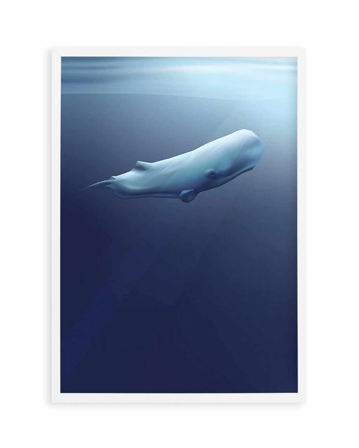 Sperm Whale | Graphic Whales Collection Art Print