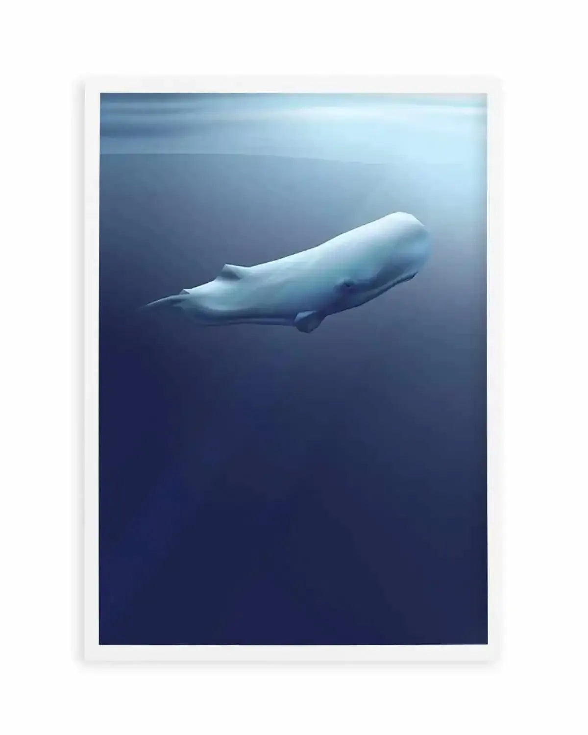 Sperm Whale | Graphic Whales Collection Art Print from Olive et Oriel where you can shop wallpaper and artworks online
