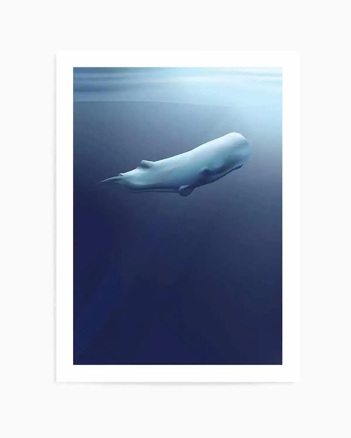 Sperm Whale | Graphic Whales Collection Art Print from Olive et Oriel where you can shop wallpaper and artworks online