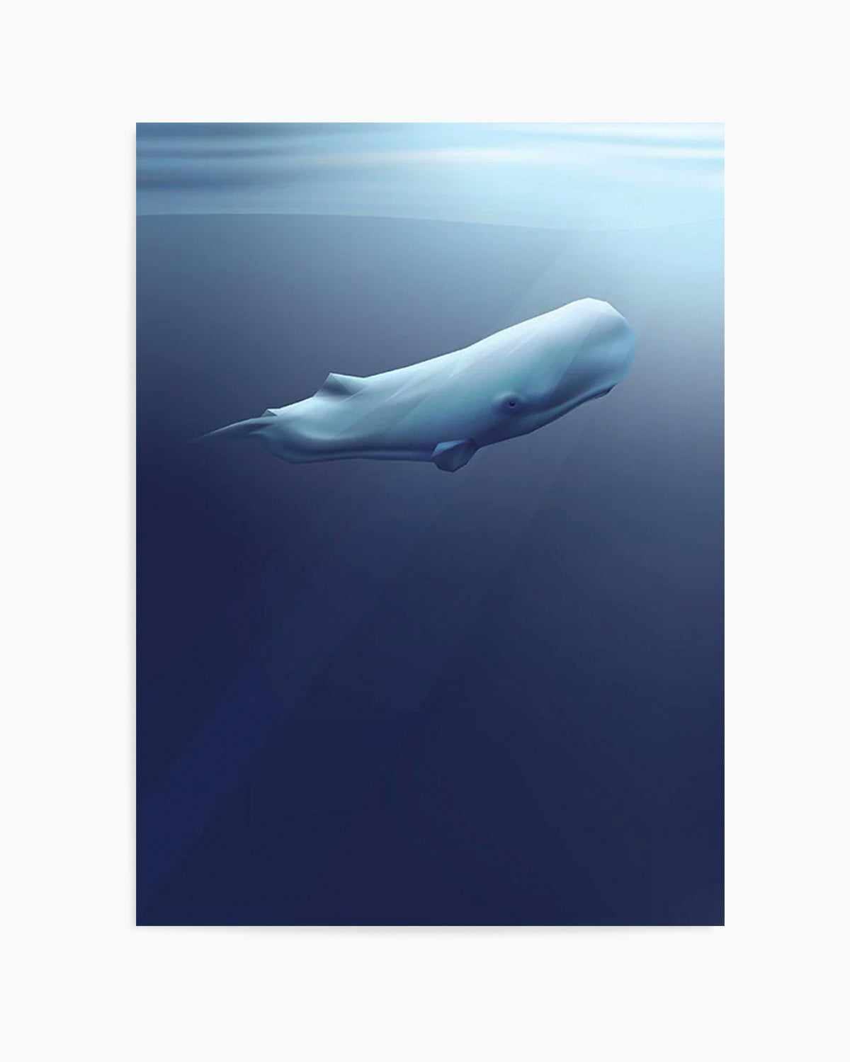 Sperm Whale | Graphic Whales Collection Art Print