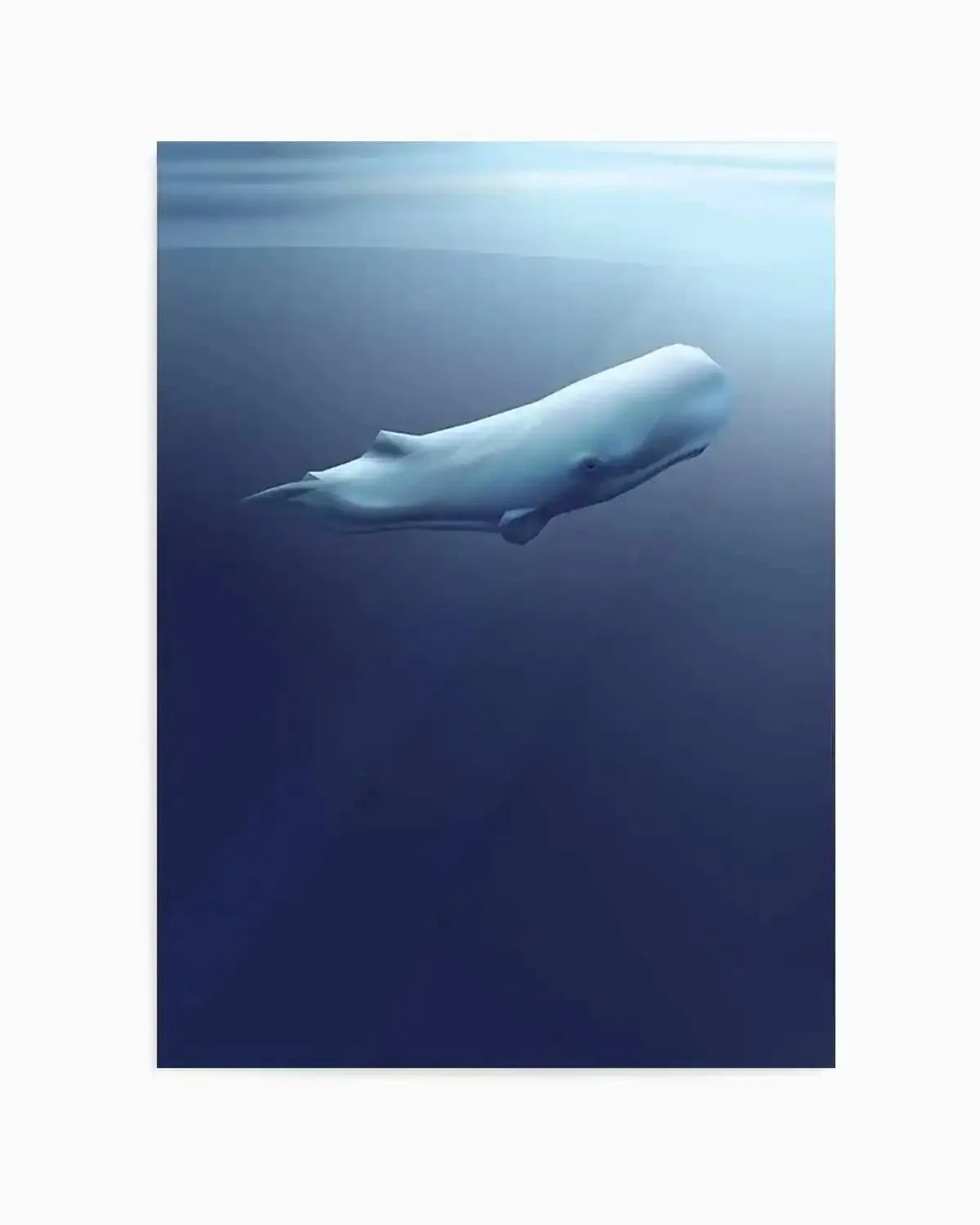 Sperm Whale | Graphic Whales Collection Art Print from Olive et Oriel where you can shop wallpaper and artworks online