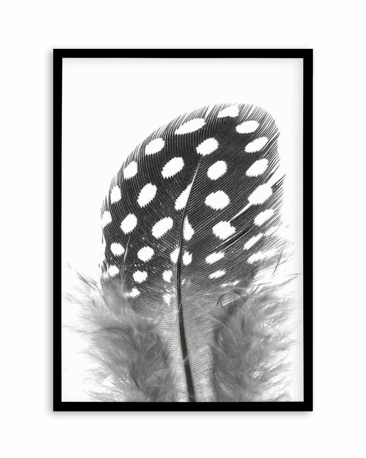 Spotted Feather Art Print