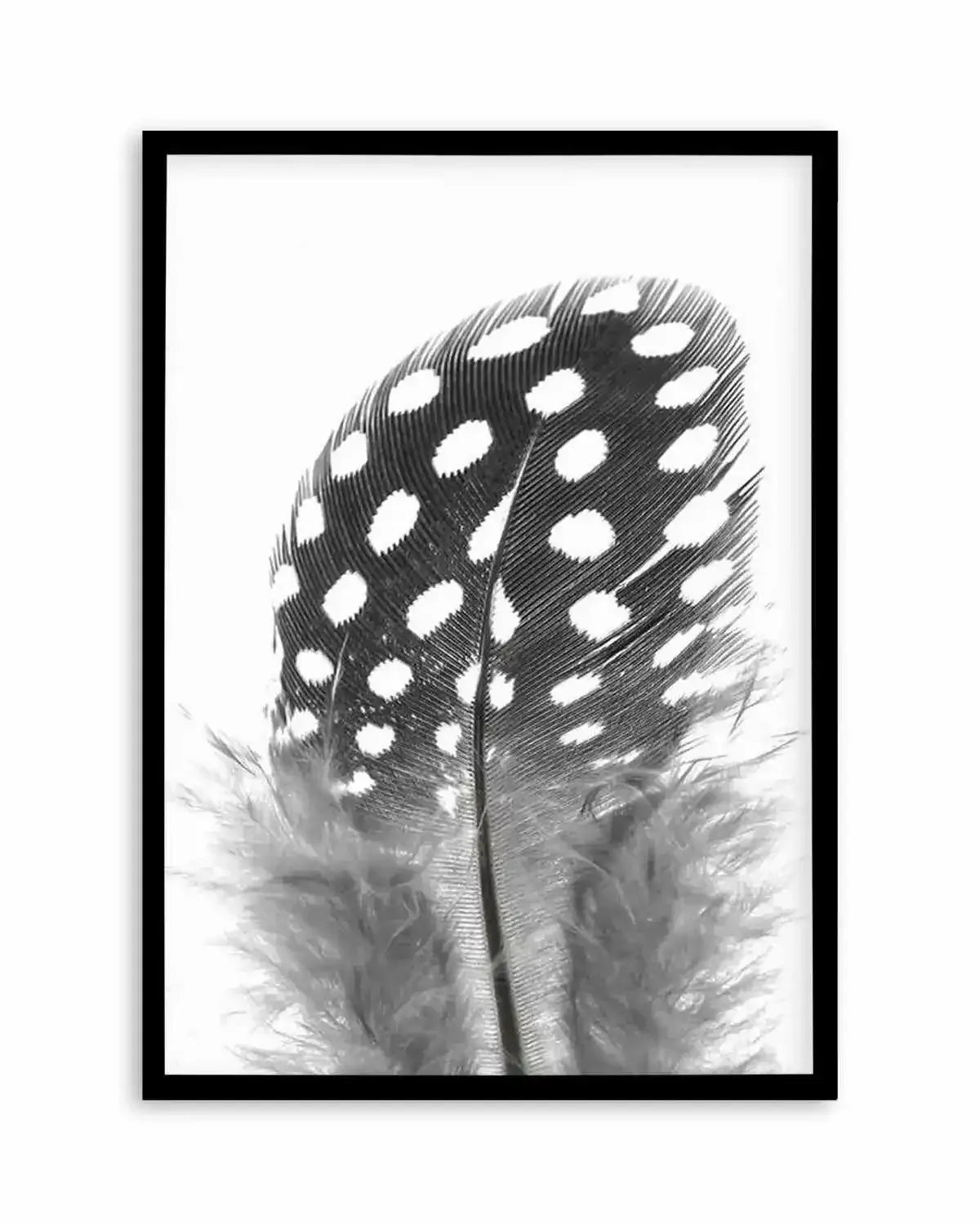 Spotted Feather Art Print from Olive et Oriel where you can shop wallpaper and artworks online