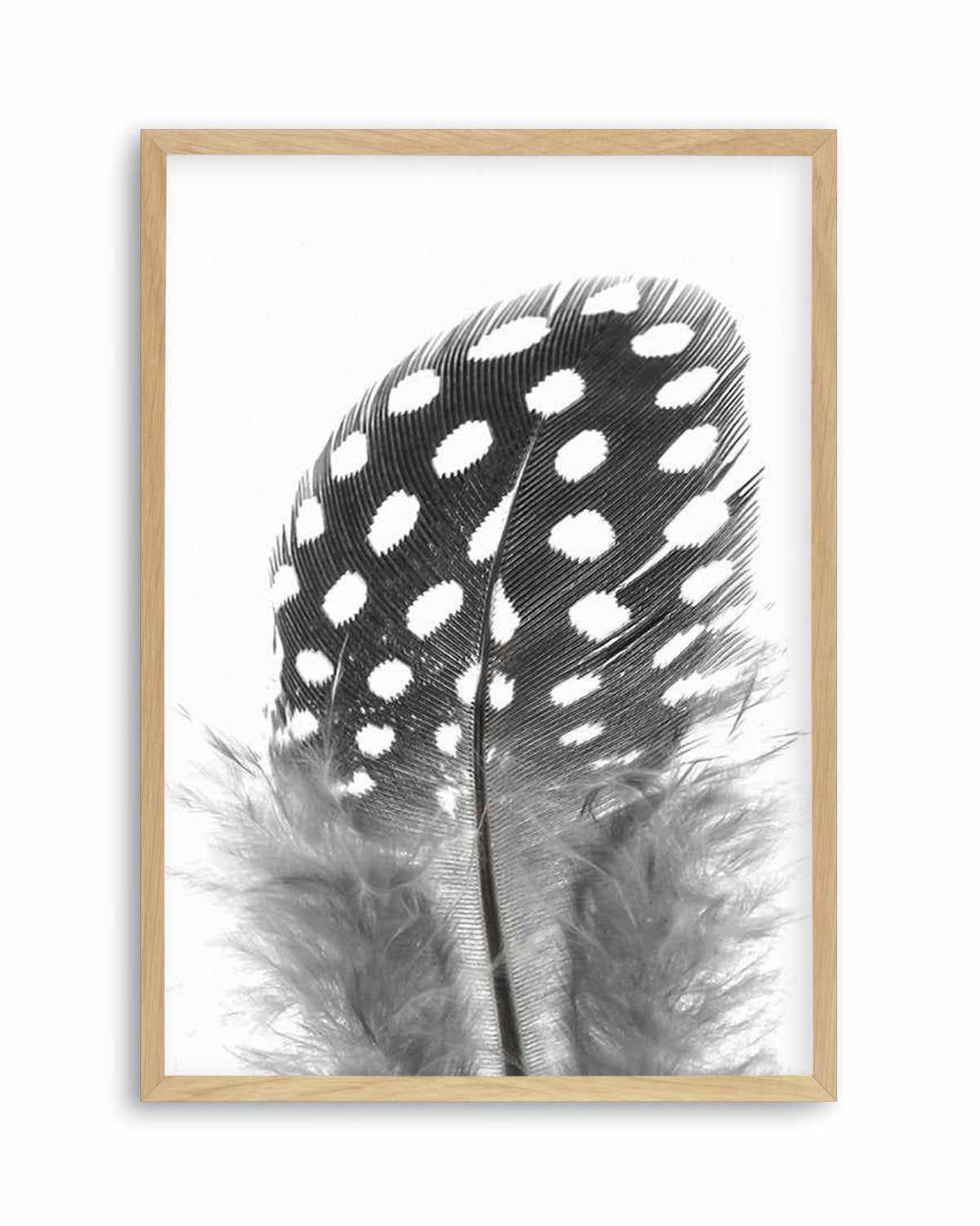 Spotted Feather Art Print