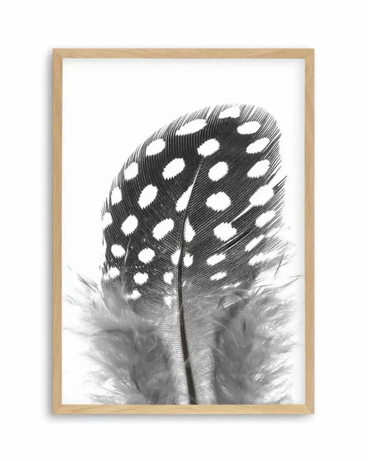 Spotted Feather Art Print from Olive et Oriel where you can shop wallpaper and artworks online