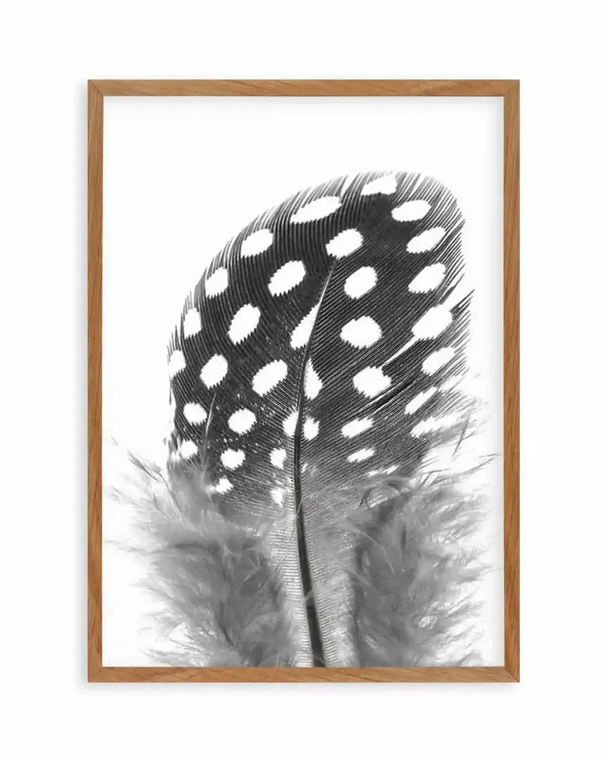 Spotted Feather Art Print from Olive et Oriel where you can shop wallpaper and artworks online