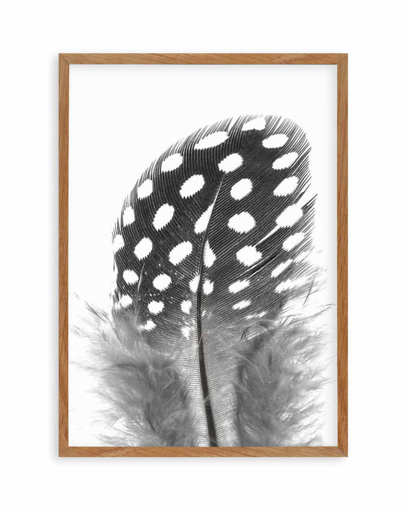 Spotted Feather Art Print