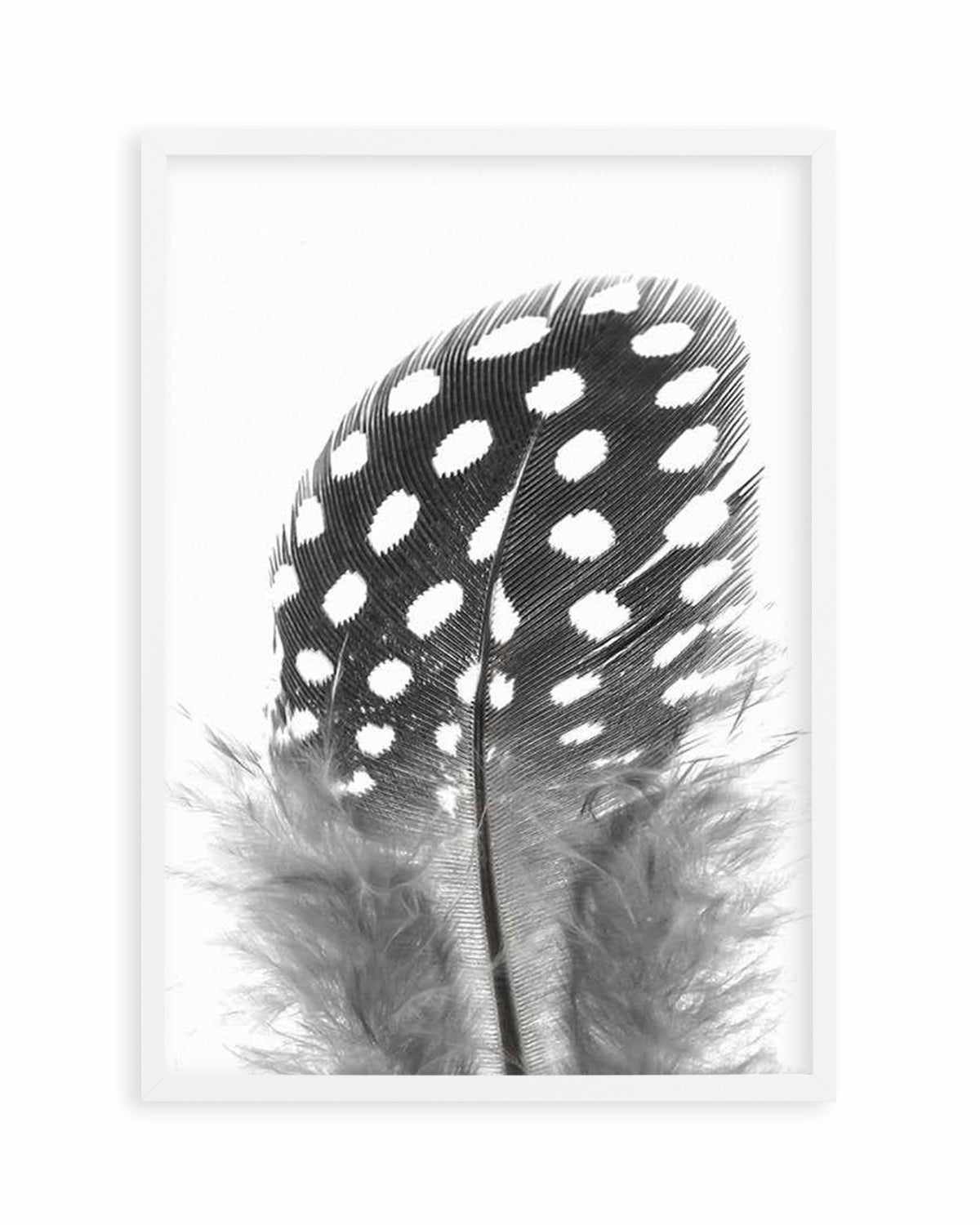 Spotted Feather Art Print