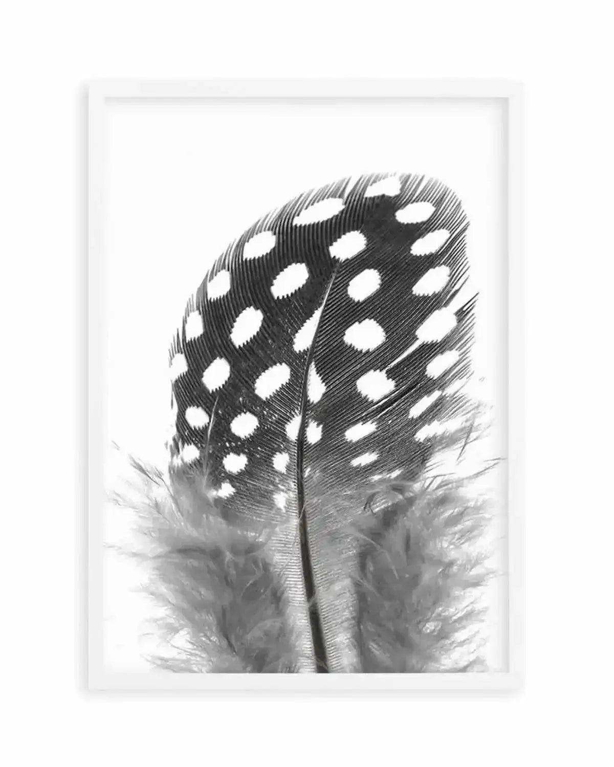 Spotted Feather Art Print from Olive et Oriel where you can shop wallpaper and artworks online