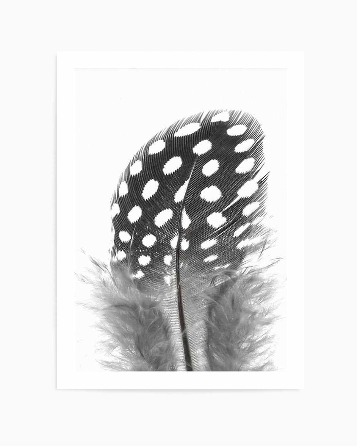 Spotted Feather Art Print