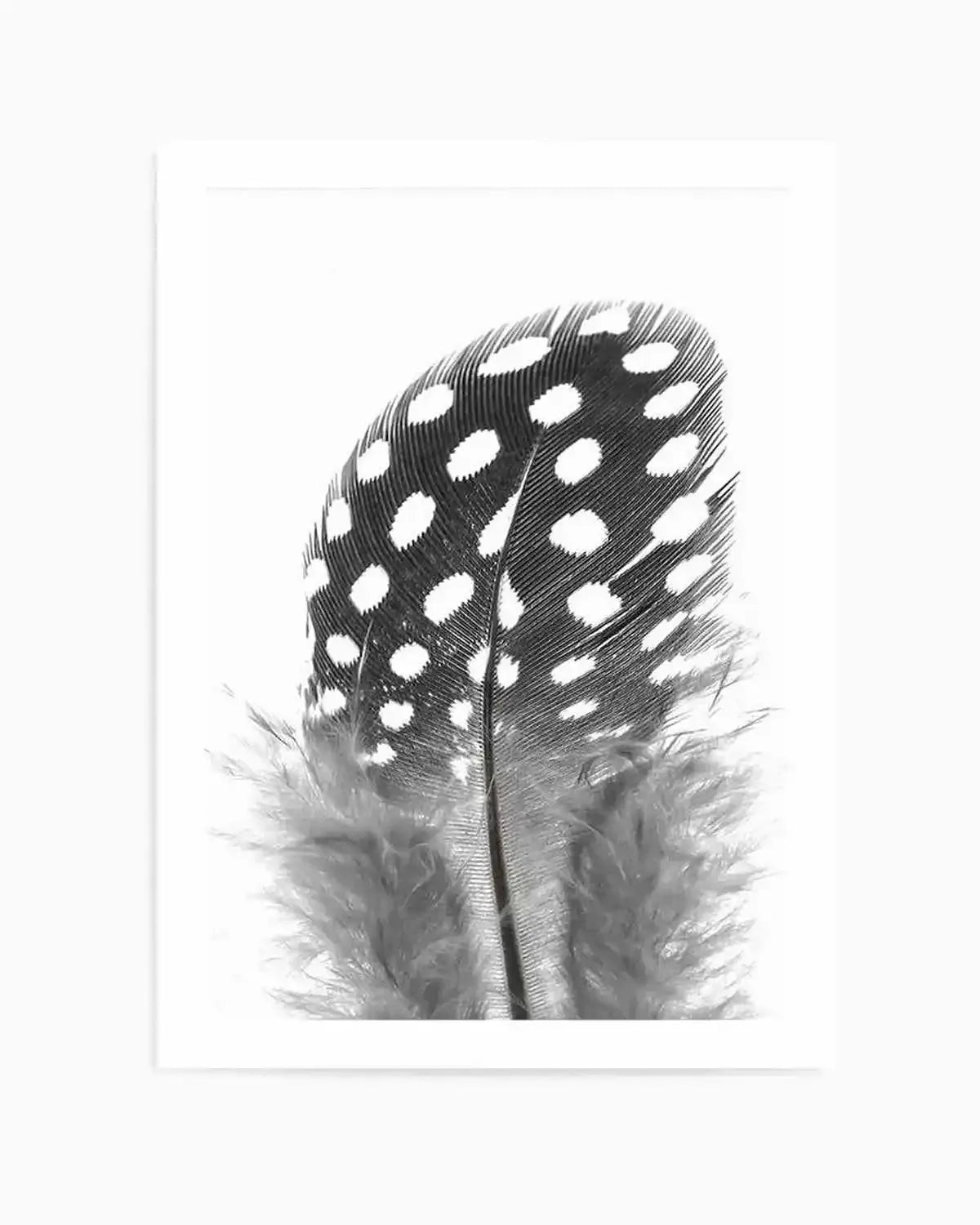 Spotted Feather Art Print from Olive et Oriel where you can shop wallpaper and artworks online