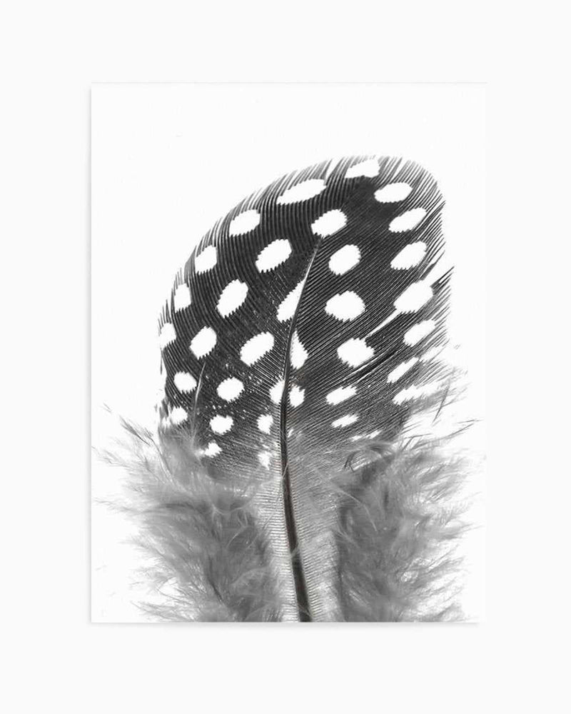 Spotted Feather Art Print