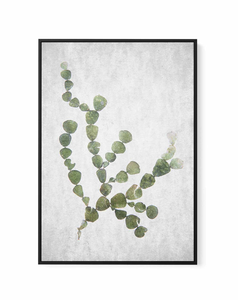 Spring Tide 02 By Clint | Framed Canvas Art Print
