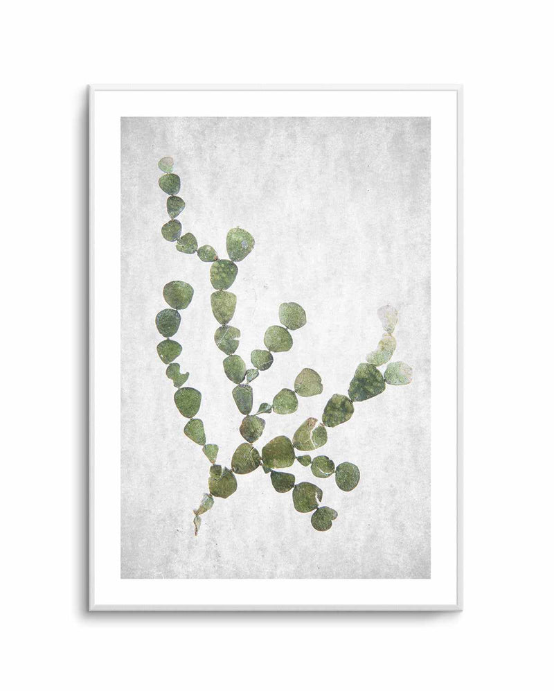 Spring Tide 02 By Clint | Art Print from Olive et Oriel where you can shop wallpaper and artworks online