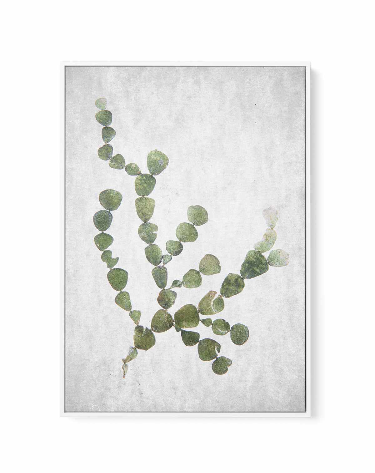 Spring Tide 02 By Clint | Framed Canvas Art Print