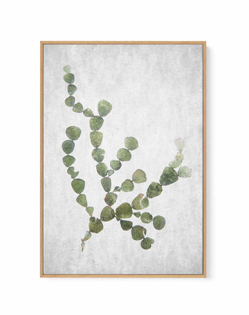 Spring Tide 02 By Clint | Framed Canvas Art Print from Olive et Oriel where you can shop wallpaper and artworks online