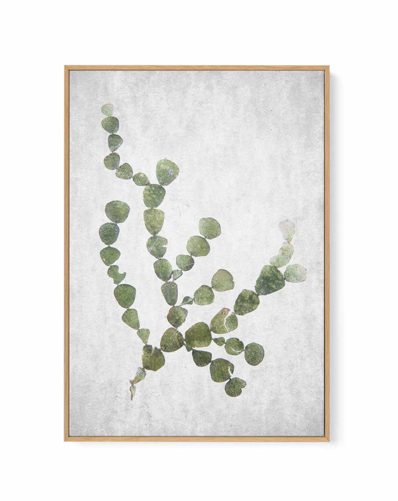 Spring Tide 02 By Clint | Framed Canvas Art Print
