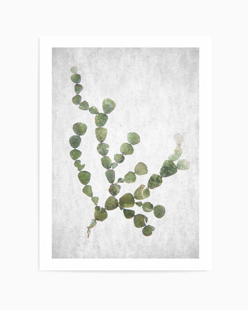 Spring Tide 02 By Clint | Art Print from Olive et Oriel where you can shop wallpaper and artworks online