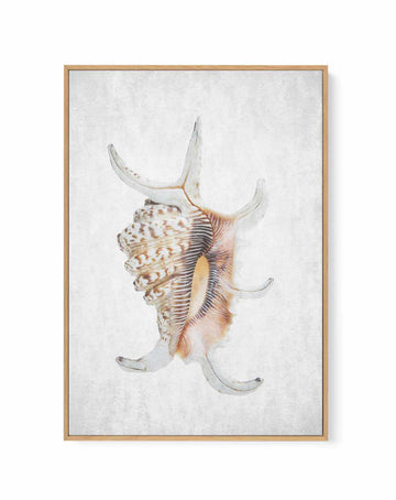 Spring Tide 03 By Clint | Framed Canvas Art Print from Olive et Oriel where you can shop wallpaper and artworks online