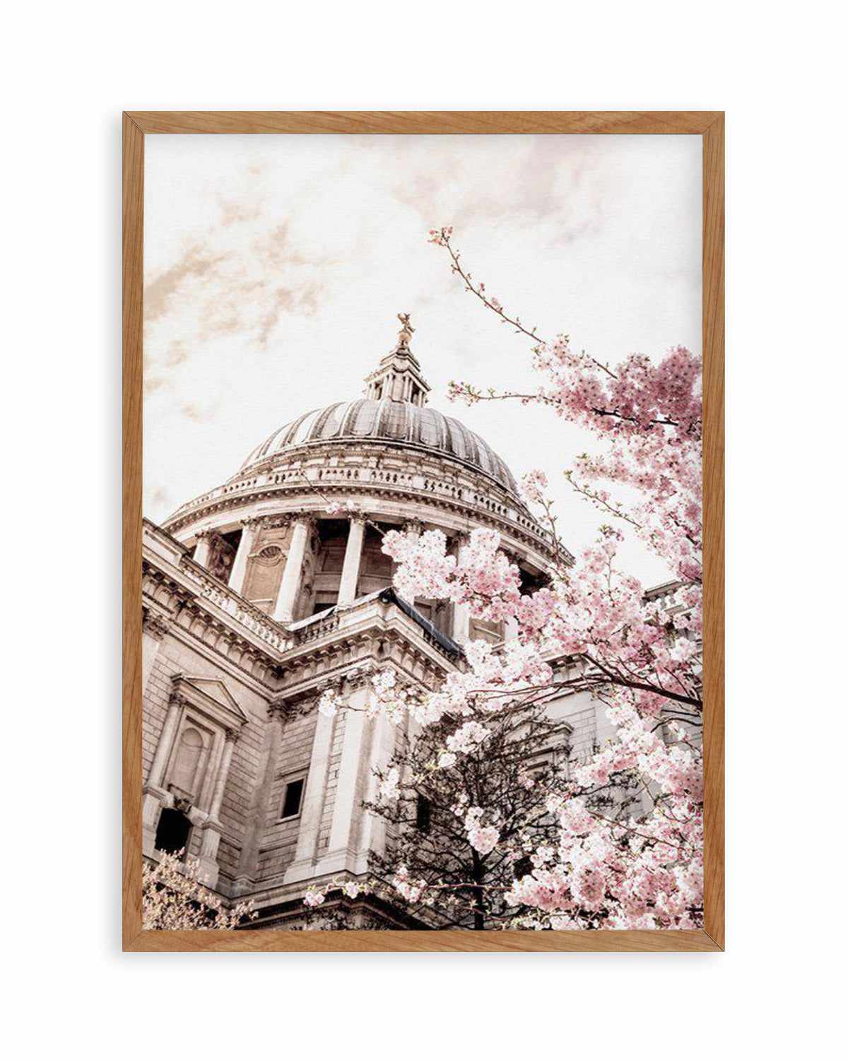 St Paul's Cathedral in Spring Art Print