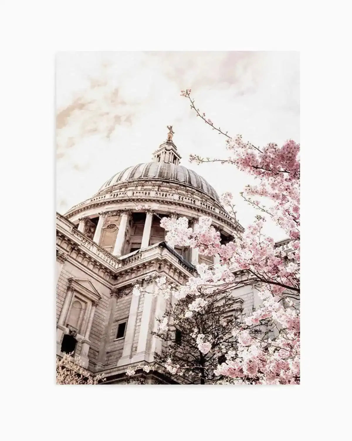 St Paul's Cathedral in Spring Art Print from Olive et Oriel where you can shop wallpaper and artworks online