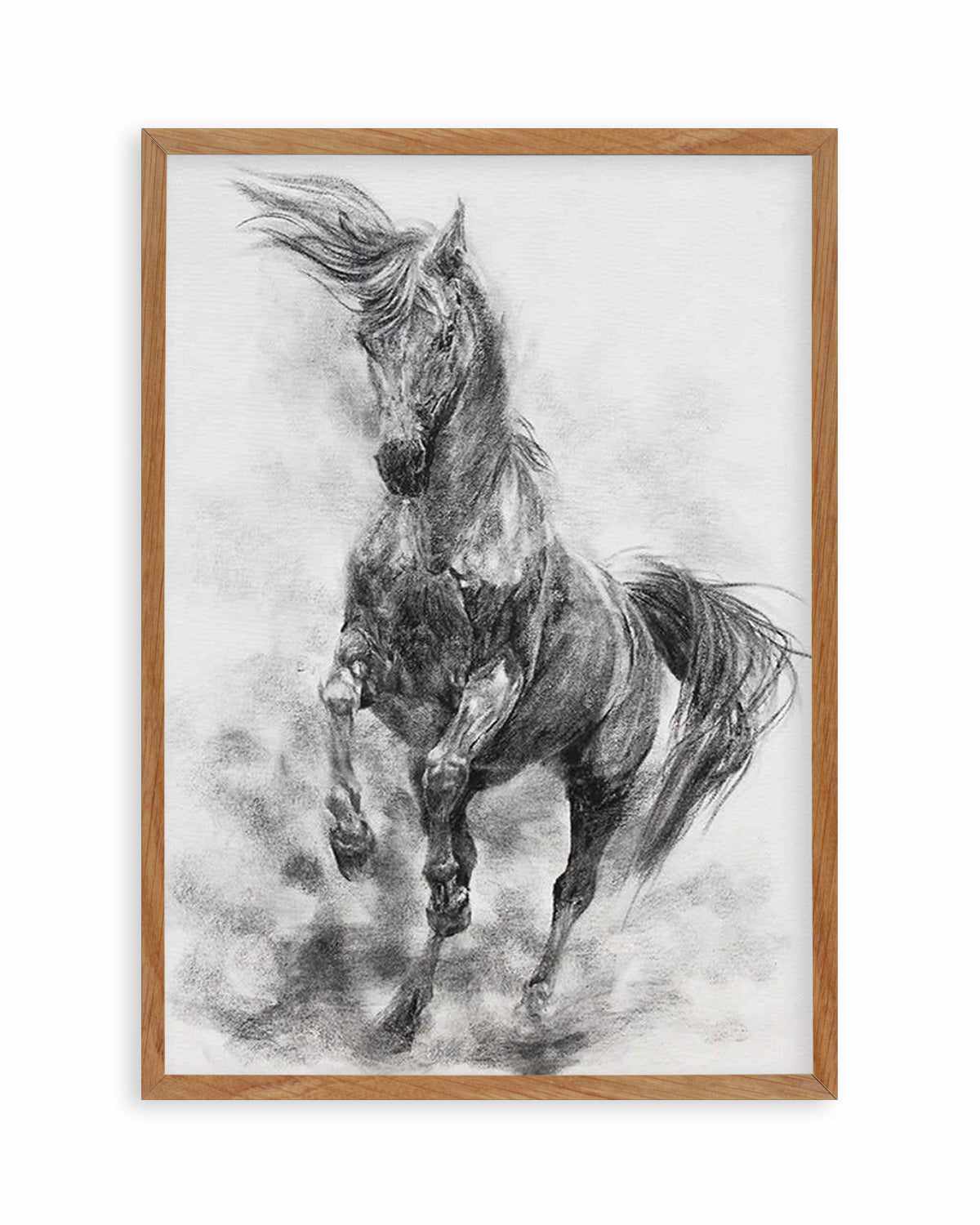 Stallion in Charcoal Art Print