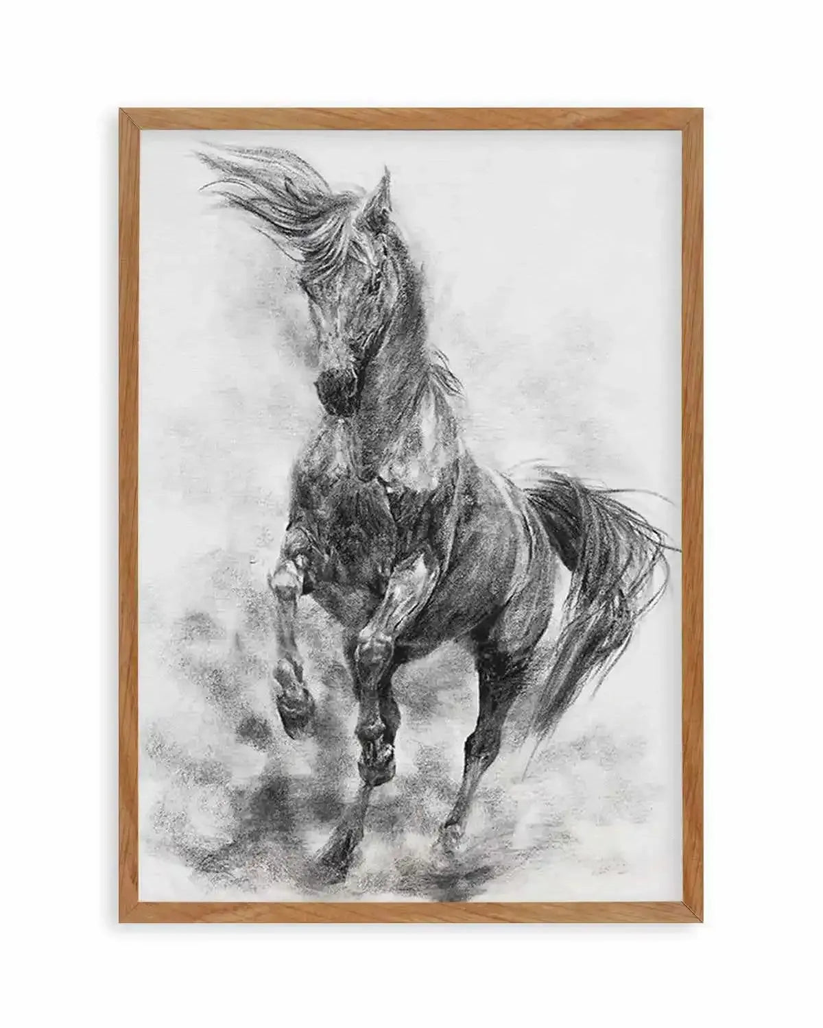 Stallion in Charcoal Art Print from Olive et Oriel where you can shop wallpaper and artworks online