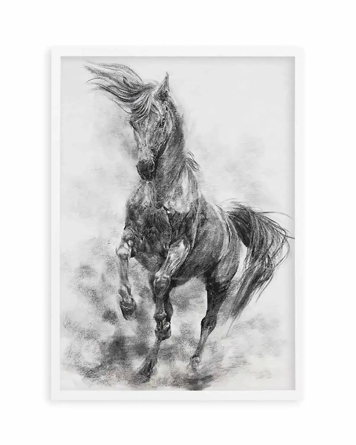 Stallion in Charcoal Art Print from Olive et Oriel where you can shop wallpaper and artworks online