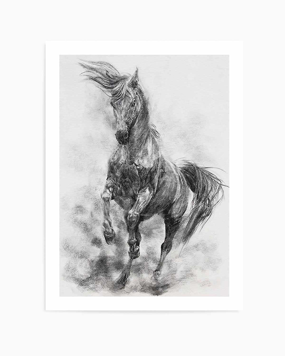 Stallion in Charcoal Art Print