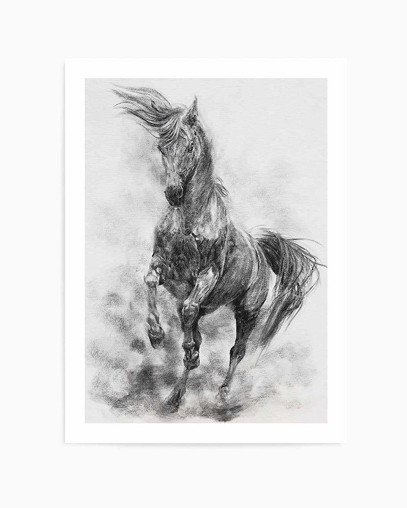 Stallion in Charcoal Art Print