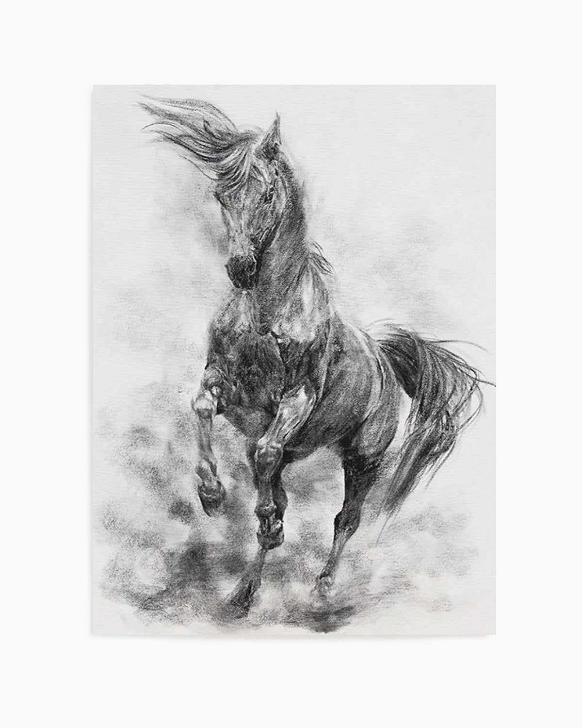 Stallion in Charcoal Art Print