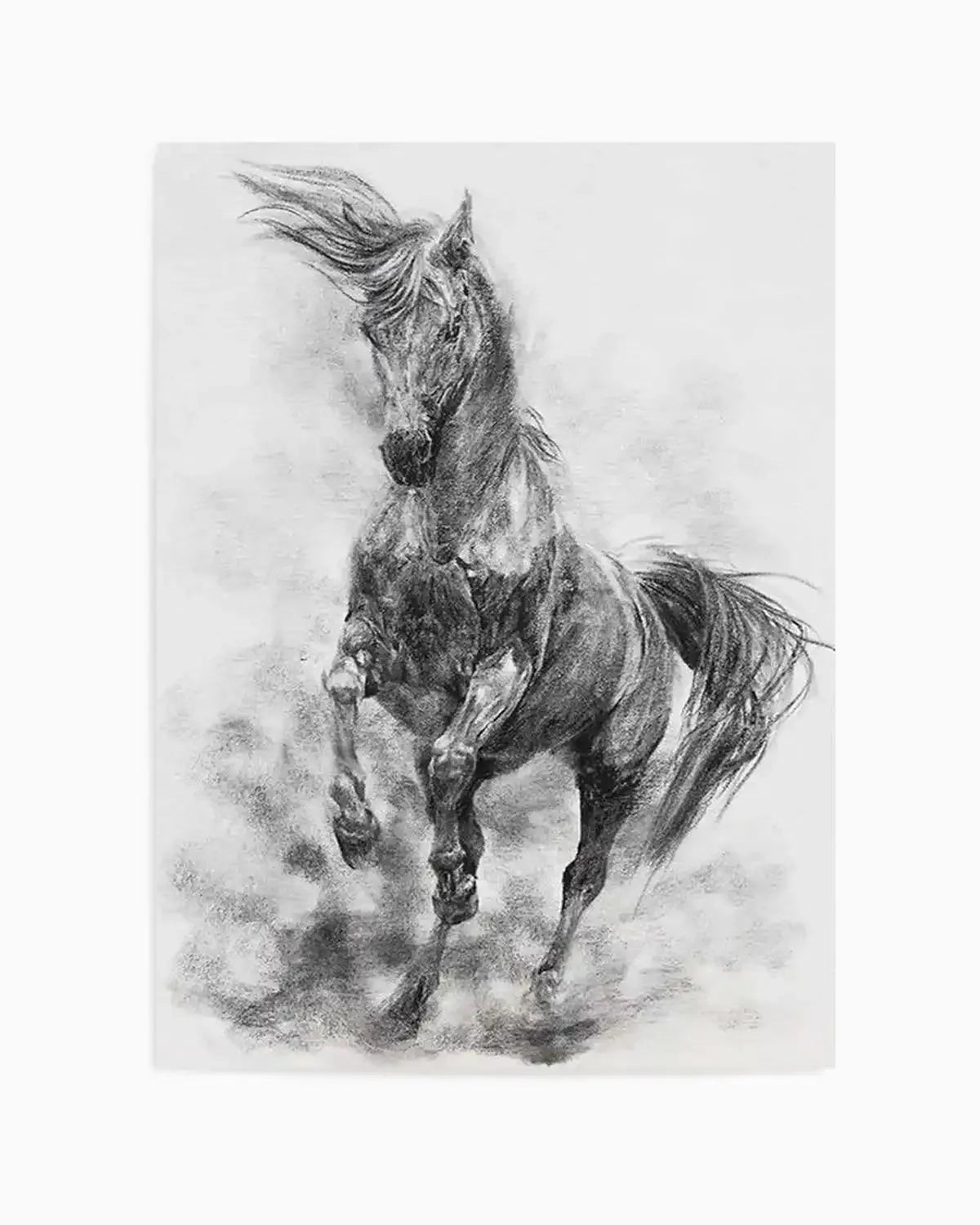 Stallion in Charcoal Art Print from Olive et Oriel where you can shop wallpaper and artworks online