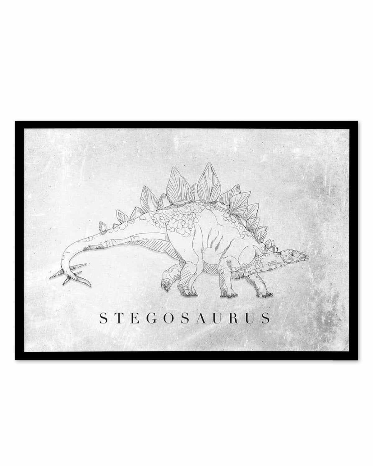 Stegosaurus LS | Dinosaur Collection Art Print