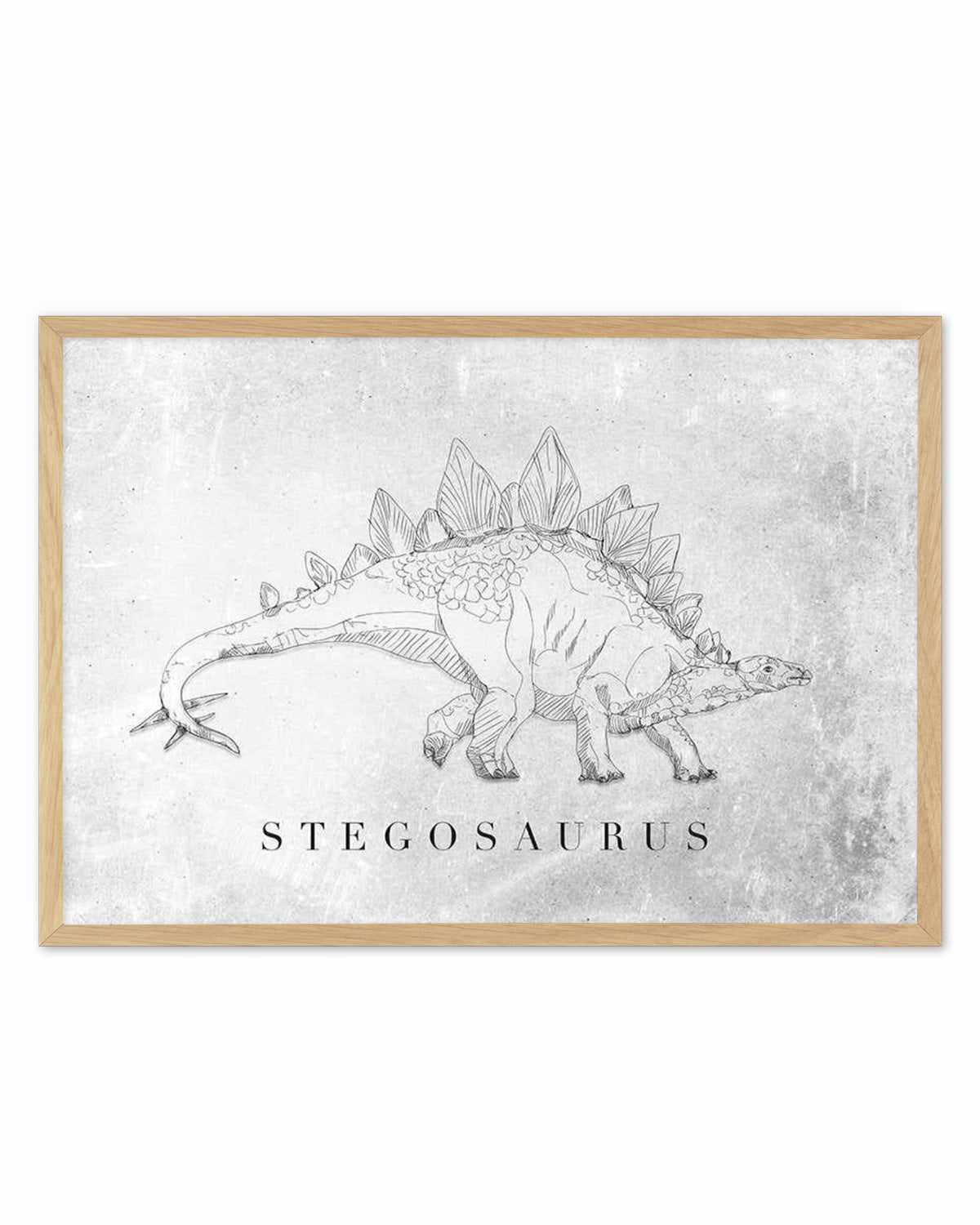 Stegosaurus LS | Dinosaur Collection Art Print