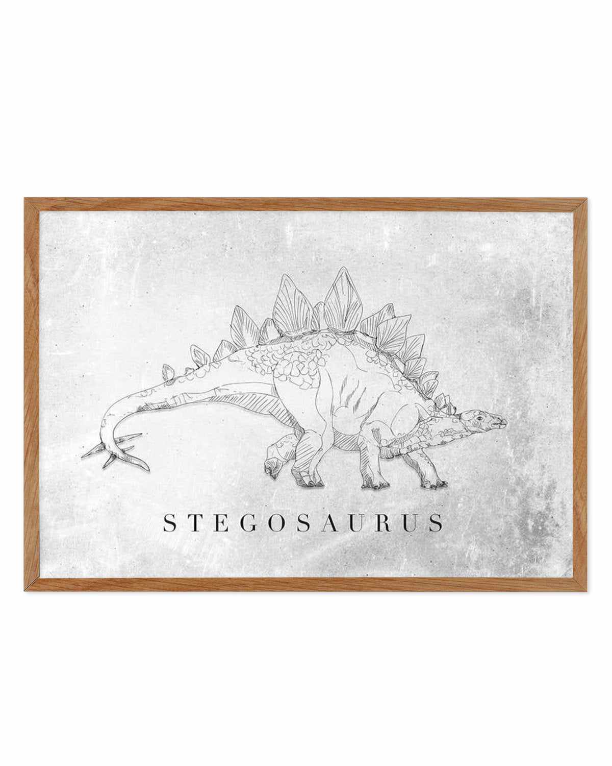 Stegosaurus LS | Dinosaur Collection Art Print