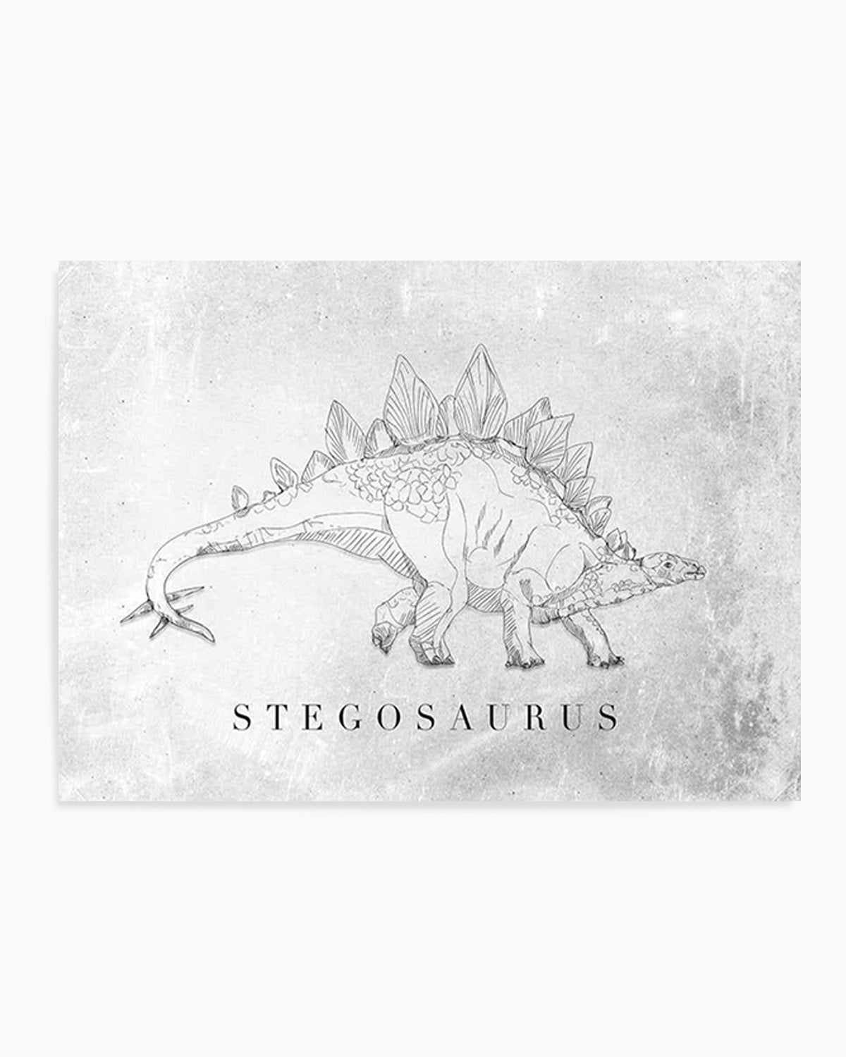 Stegosaurus LS | Dinosaur Collection Art Print