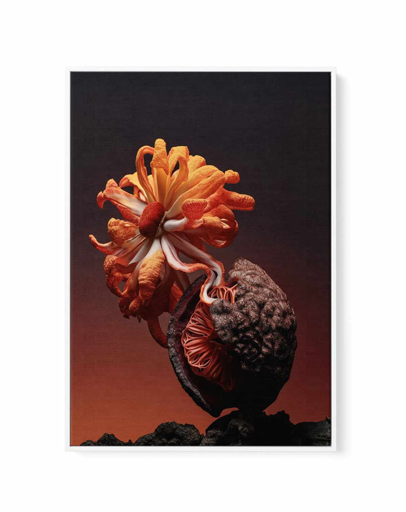 Still Life Flowers No4 By Minorstep | Framed Canvas Art Print from Olive et Oriel where you can shop wallpaper and artworks online