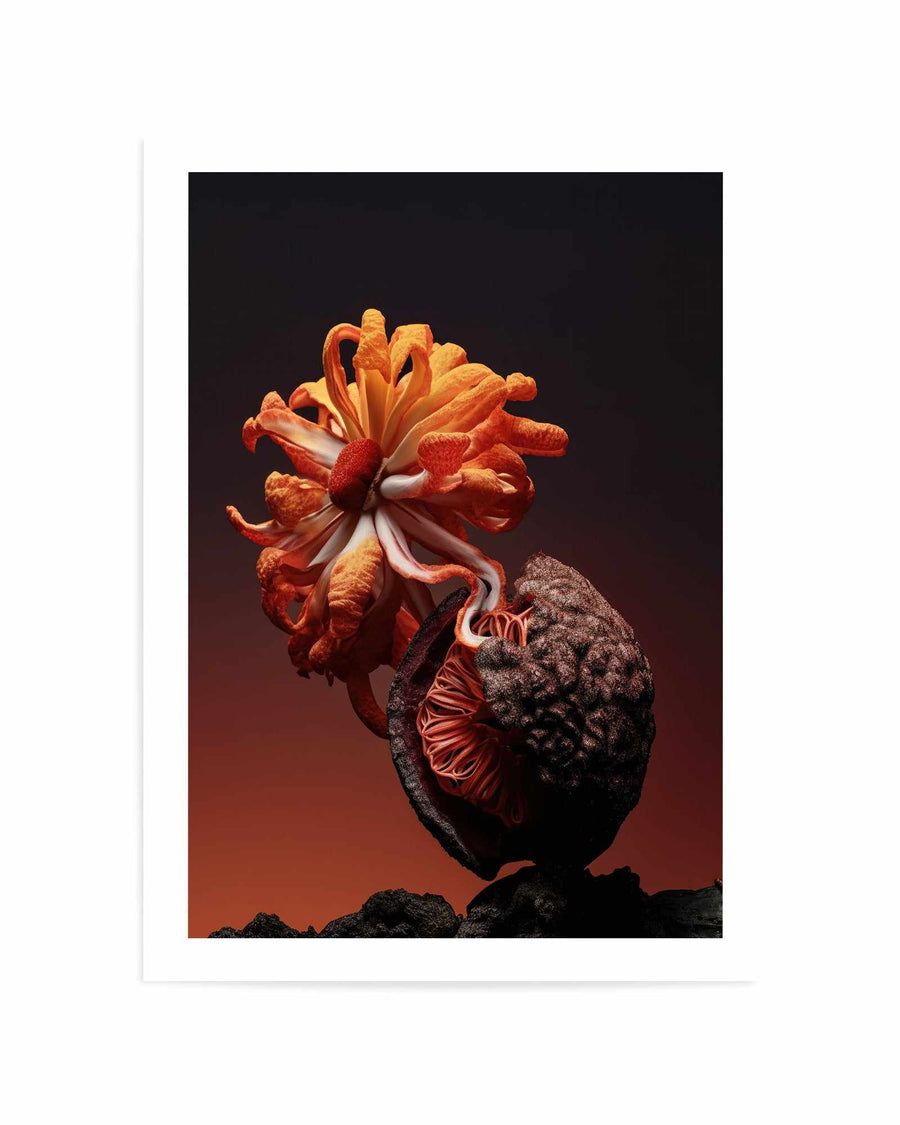 Still Life Flowers No4 By Minorstep | Art Print from Olive et Oriel where you can shop wallpaper and artworks online