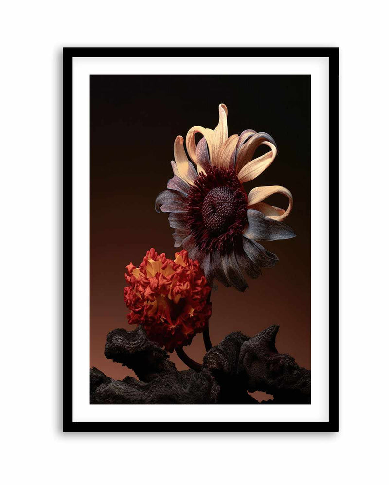 Still Life Flowers No5 By Minorstep | Art Print