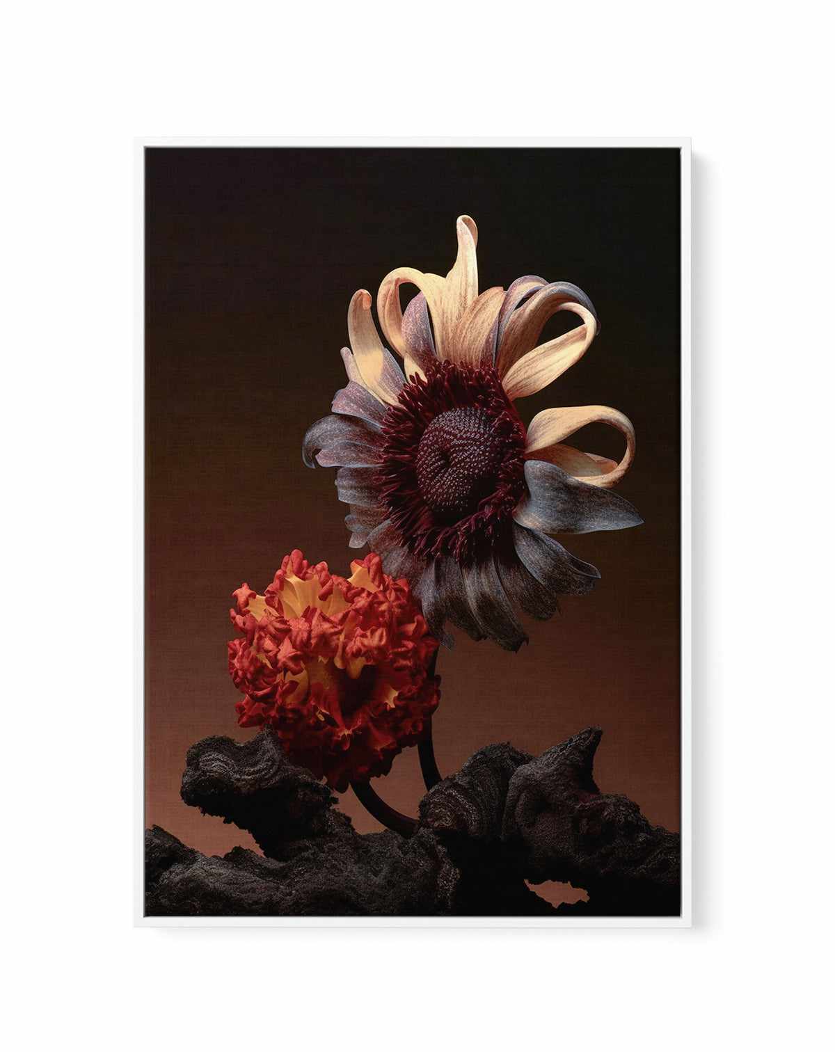 Still Life Flowers No5 By Minorstep | Framed Canvas Art Print