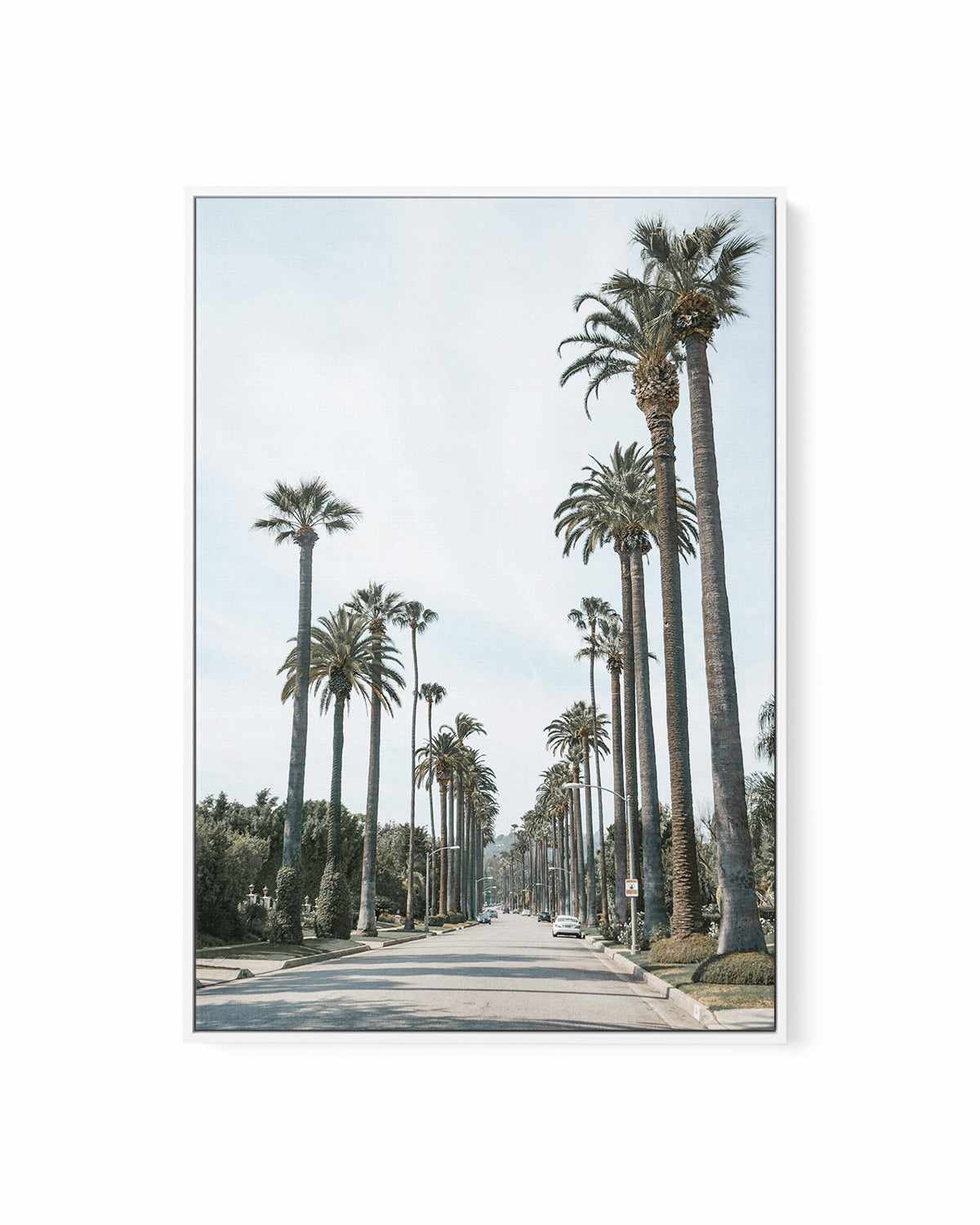 Streets of Palm Springs | Framed Canvas Art Print