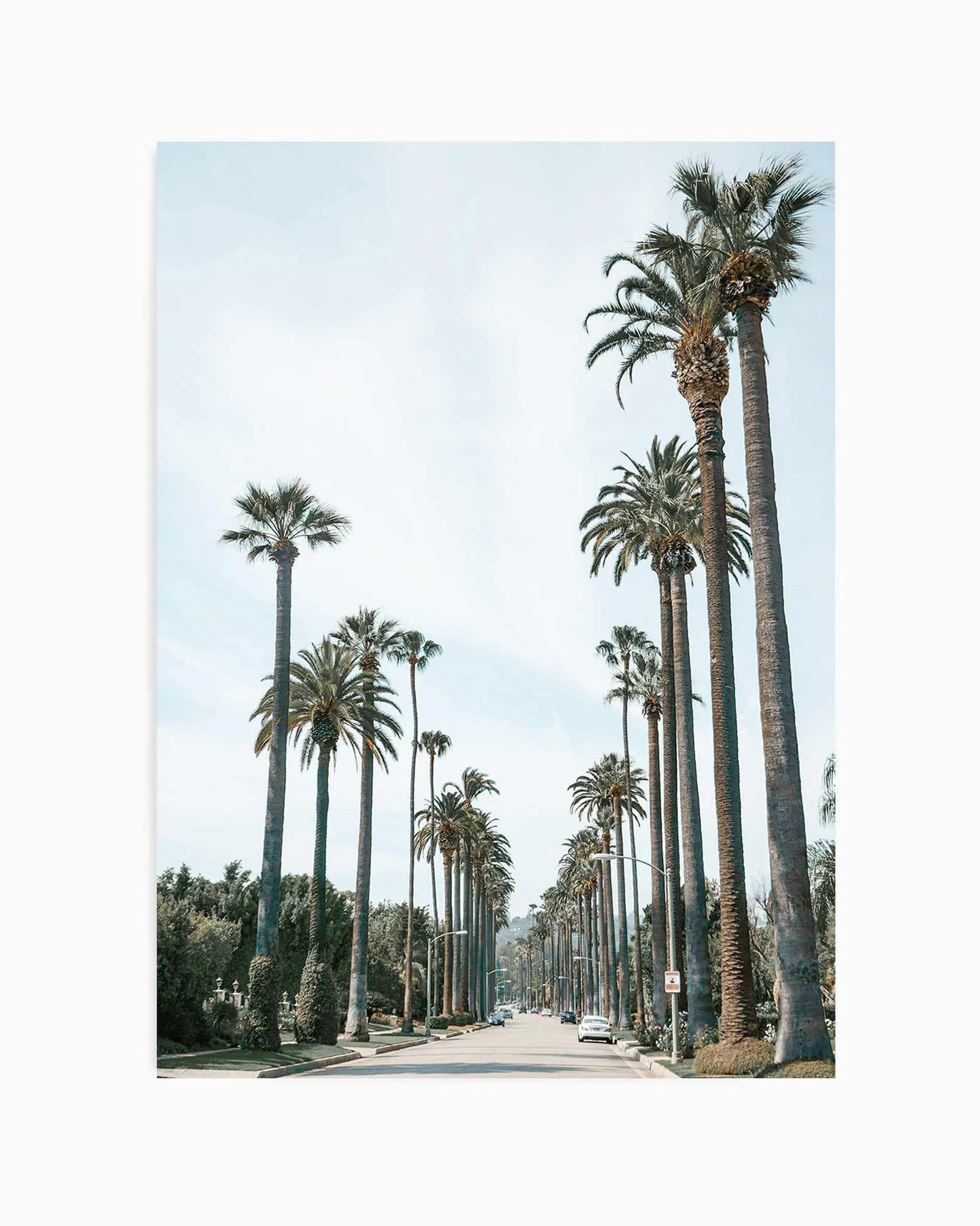 Streets of Palm Springs Art Print from Olive et Oriel where you can shop wallpaper and artworks online