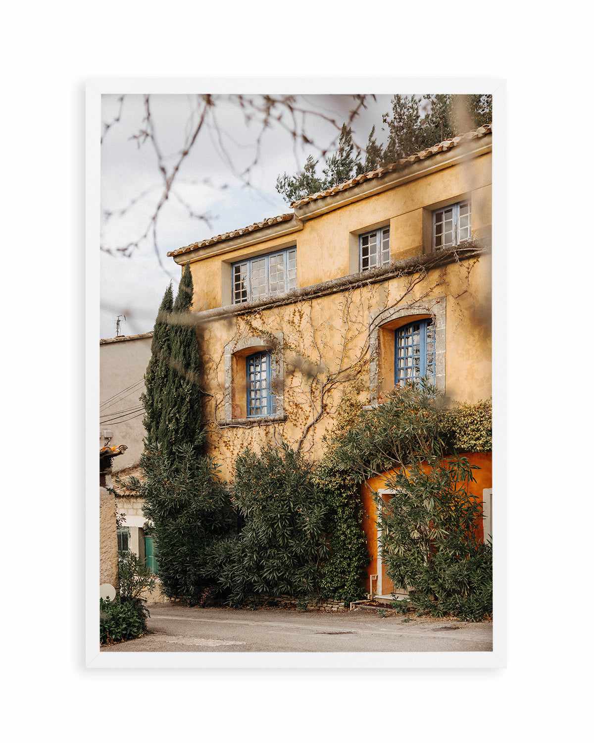 Studio Provence by Jovani Demetrie Art Print