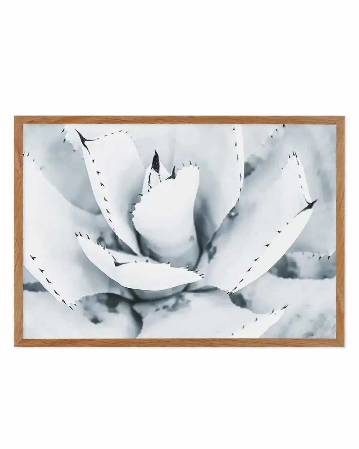 Succulent B&W Art Print from Olive et Oriel where you can shop wallpaper and artworks online