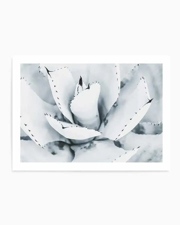 Framed black and white photograph of a succulent plant, captured in a close-up, top-down view. The succulent features thick, pointed leaves arranged in a rosette pattern, with sharp, dark tips and small, dark, spiky edges along the leaf margins. The image has a high-contrast, monochromatic aesthetic, emphasizing the plant's intricate texture and form, with a white frame and white border.