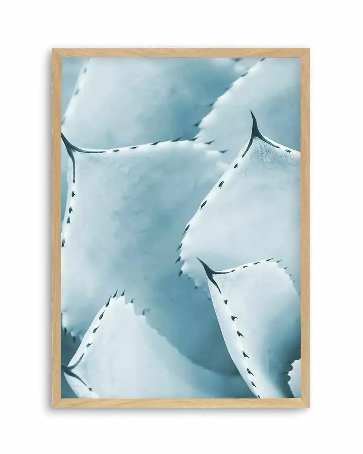 Succulent I | PT Art Print from Olive et Oriel where you can shop wallpaper and artworks online