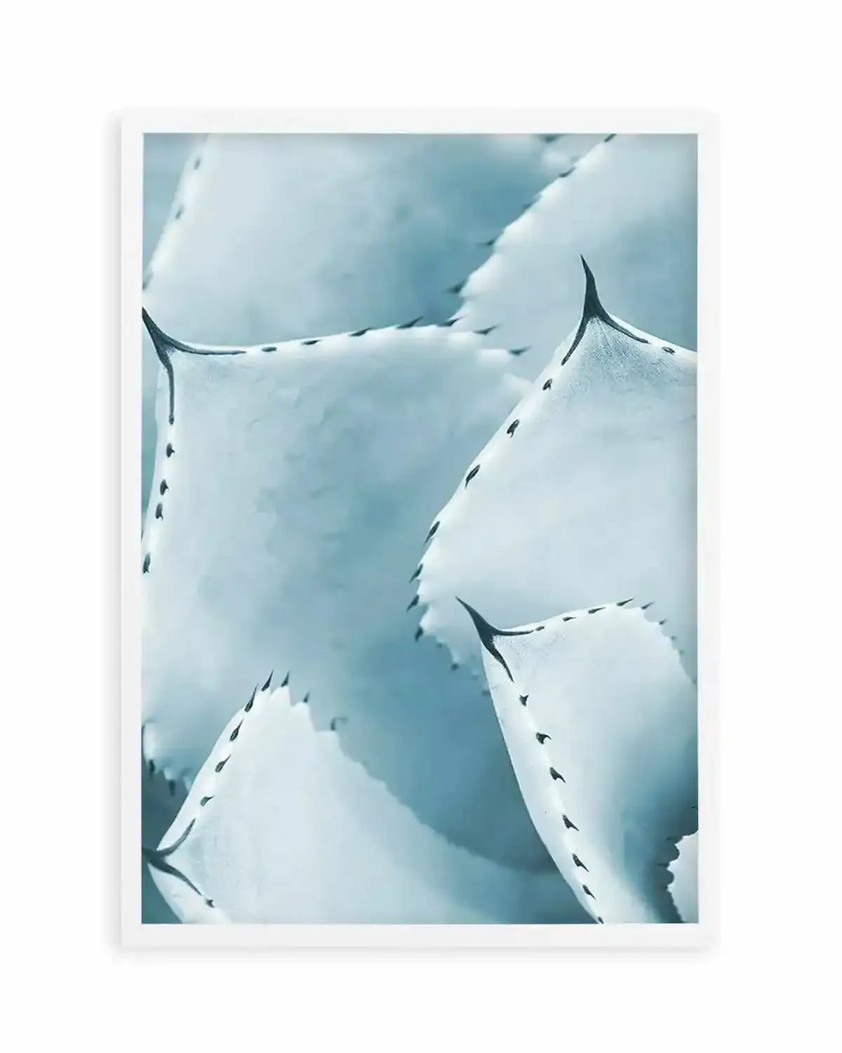 Succulent I | PT Art Print from Olive et Oriel where you can shop wallpaper and artworks online